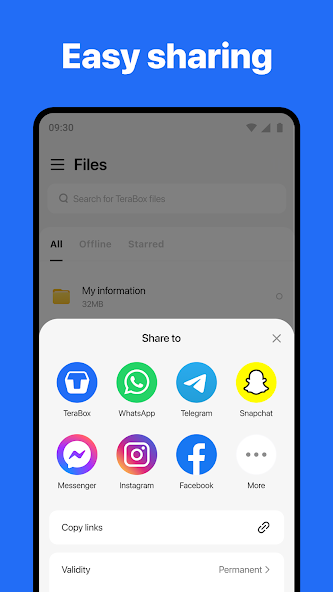 Screen